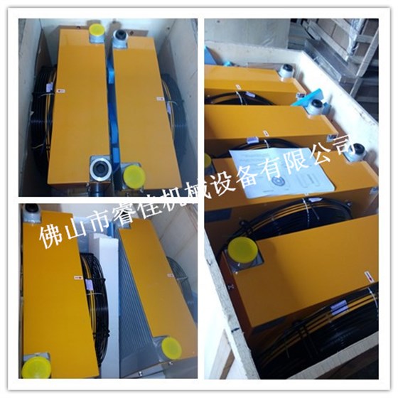 睿佳風(fēng)冷卻器RJ-556A3.jpg 睿佳風(fēng)冷卻器RJ-556A3.jpg