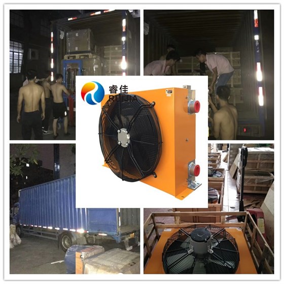 風(fēng)冷式油冷卻器RJ-6511發(fā)貨.jpg 風(fēng)冷式油冷卻器RJ-6511發(fā)貨.jpg