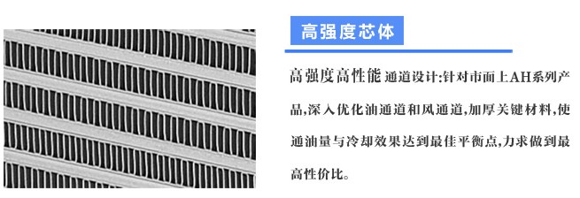 睿佳風(fēng)冷卻器芯體翅片細(xì)節(jié)圖